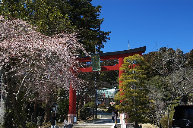 e0132310_1113845.jpg