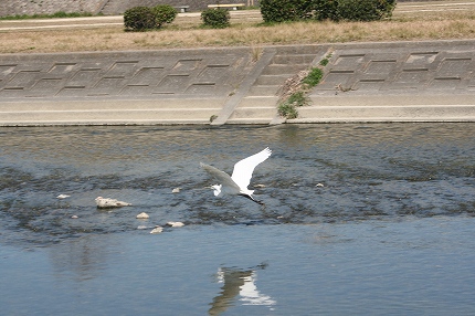 f0191413_1171774.jpg