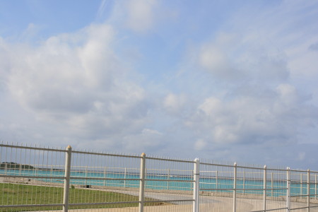 f0097620_2331399.jpg