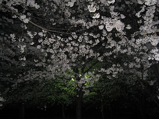 f0190020_8355132.jpg