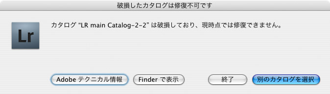 カタログが破損しました。_f0077521_19432643.jpg