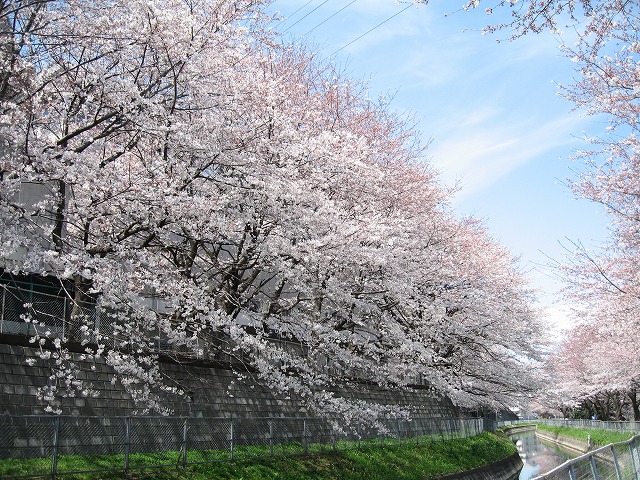 e0162524_2274418.jpg