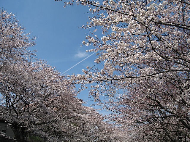 e0162524_228763.jpg