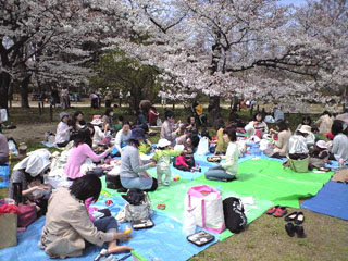 b0080027_16304429.jpg