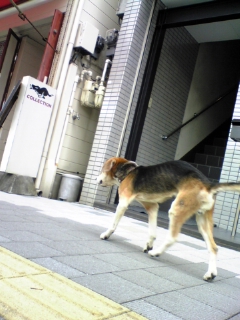e0119327_12434755.jpg