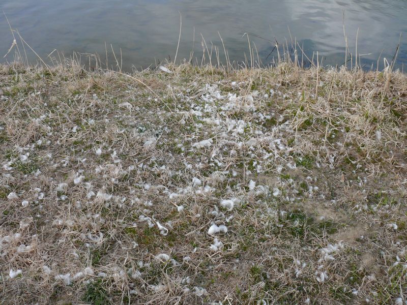 f0148627_2159497.jpg
