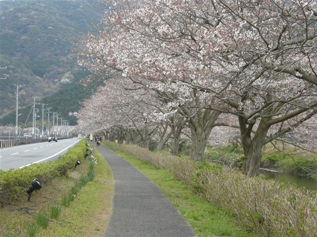 c0039428_23444019.jpg