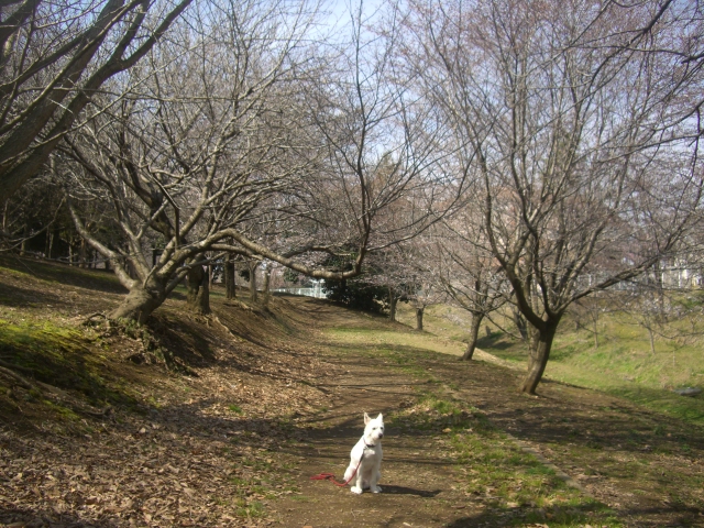 c0123029_1426179.jpg