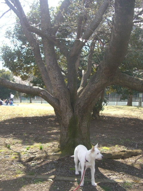 c0123029_14295688.jpg