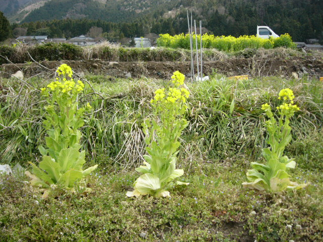 f0124729_14131.jpg