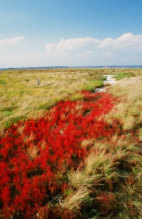 f0053130_20495095.jpg