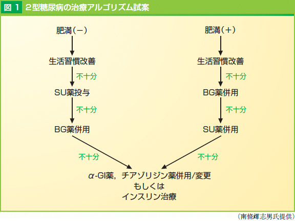 2型糖尿病と経口血糖低下薬_c0183739_7554023.jpg