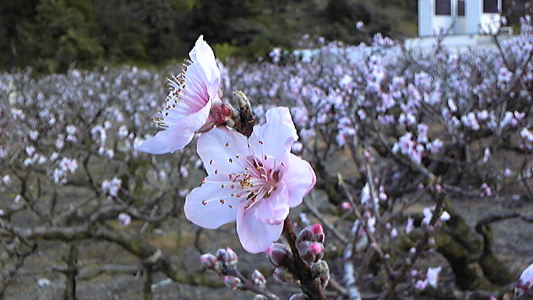 f0082141_2325115.jpg