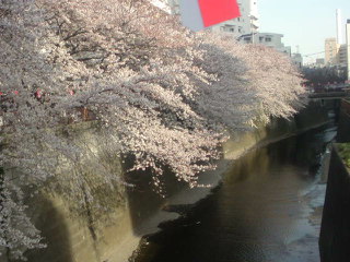 c0035144_172539.jpg
