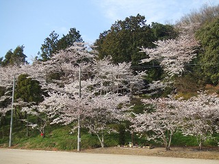b0115346_23222135.jpg
