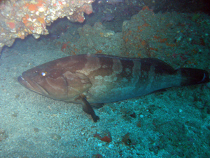 d0058549_17171029.jpg