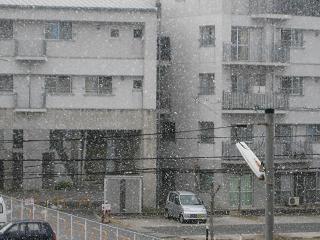 b0146353_22385035.jpg