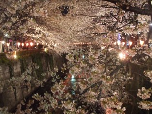 f0201156_13111718.jpg