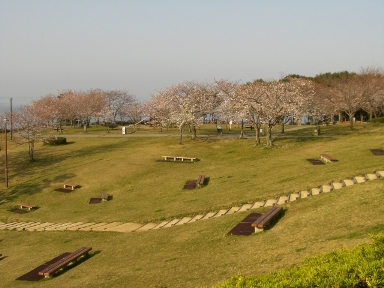 d0111558_2348475.jpg