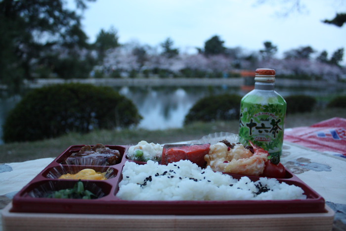 九華公園の桜_f0148762_23323772.jpg