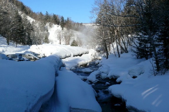 f0000866_4495929.jpg