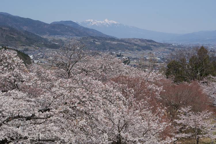 b0019567_11350100.jpg
