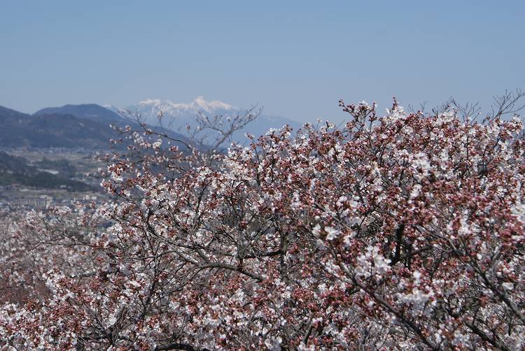 b0019567_1142912.jpg