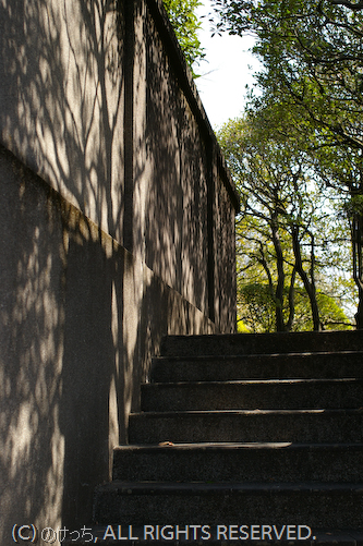 b0136768_031446.jpg