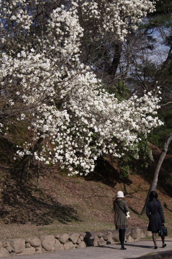 b0055171_22281946.jpg