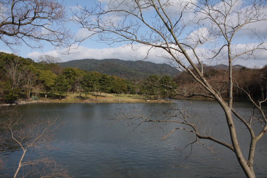 b0055171_22302511.jpg
