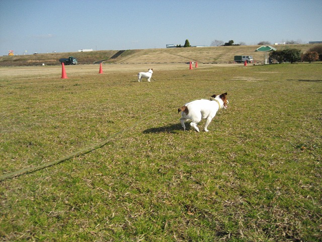 e0106372_1051796.jpg