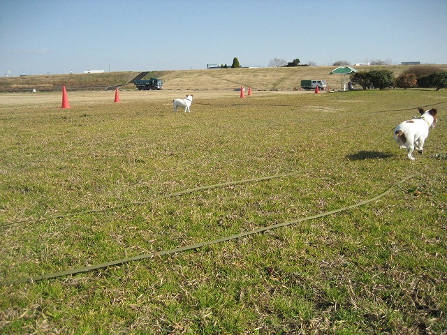 e0106372_1053036.jpg