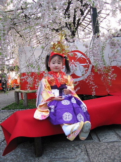 この春、桜カメラマンになる。_b0141773_15291827.jpg