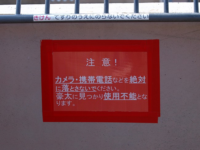 b0145677_8183081.jpg