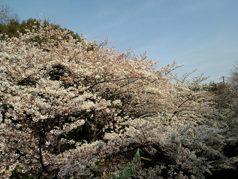 f0053077_1961790.jpg