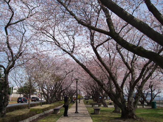 e0123680_17593921.jpg