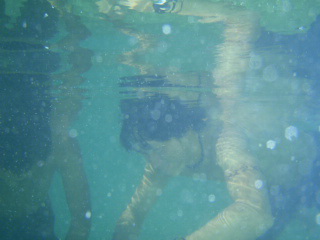 e0150782_192783.jpg