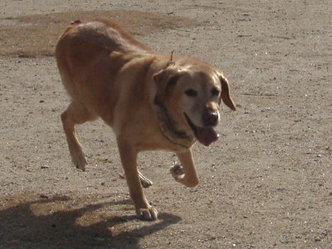 d0098183_10371116.jpg