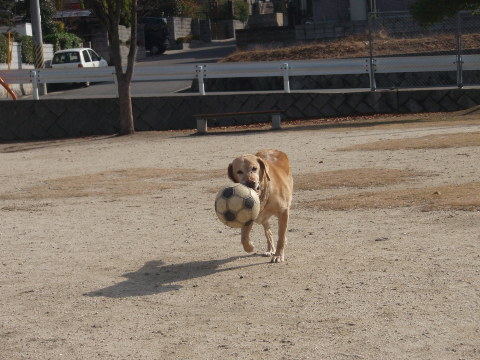 d0098183_10372310.jpg