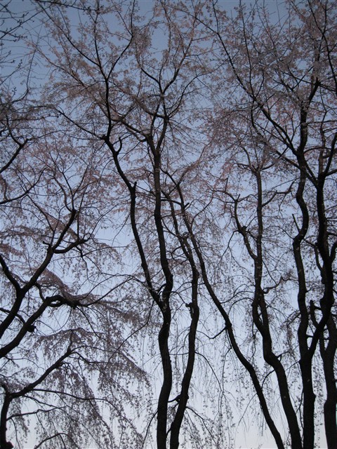 b0133886_041517.jpg