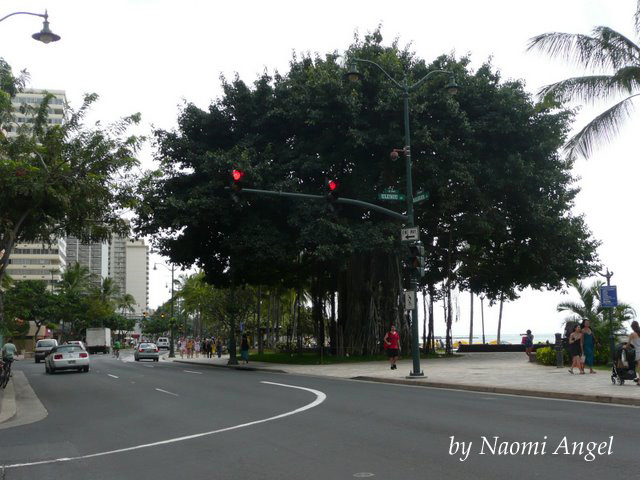f0186787_11593296.jpg