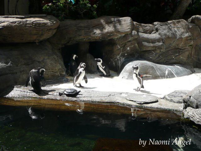 f0186787_1215974.jpg