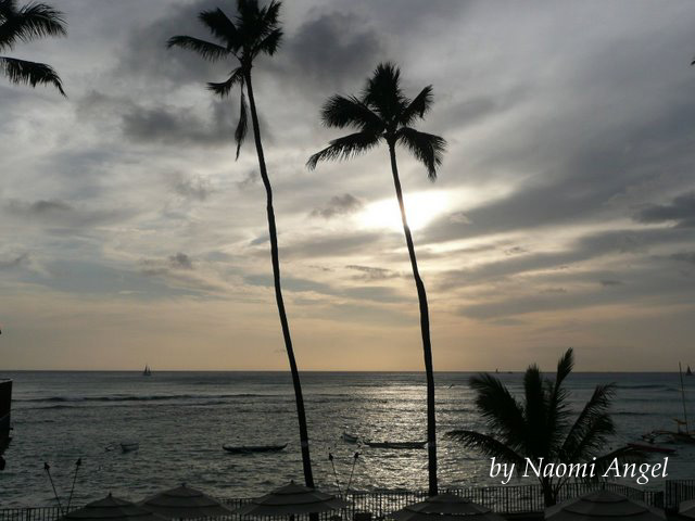 God of Hawaii vol.2 - ハワイの神様 vol.2 -_f0186787_12224731.jpg