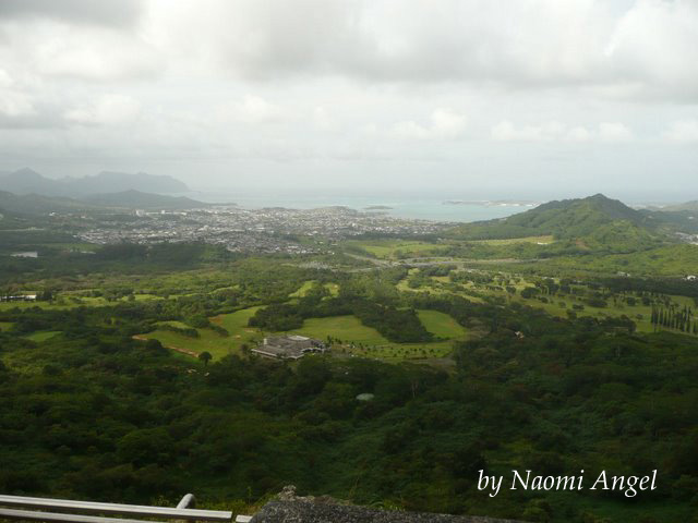 God of Hawaii vol.4 - ハワイの神様 vol.4 -_f0186787_131342100.jpg