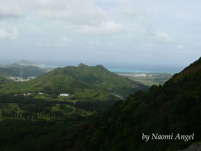 God of Hawaii vol.4 - ハワイの神様 vol.4 -_f0186787_13141770.jpg