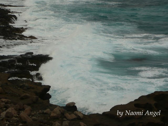 God of Hawaii vol.4 - ハワイの神様 vol.4 -_f0186787_13242026.jpg