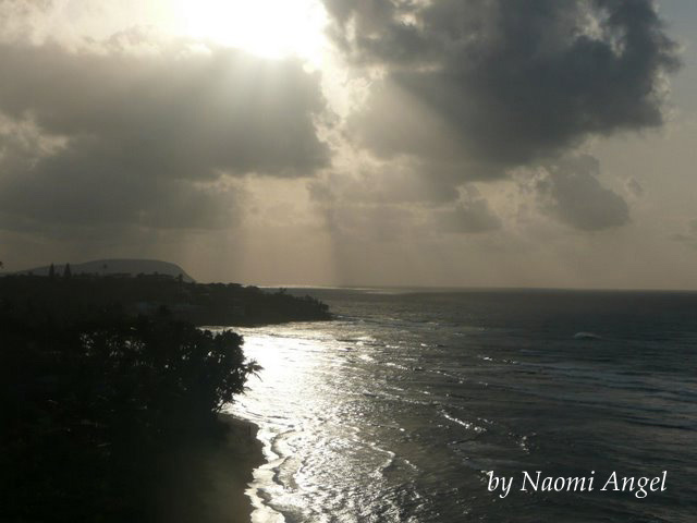 God of Hawaii vol.5 - ハワイの神様 vol.5 -_f0186787_13385178.jpg