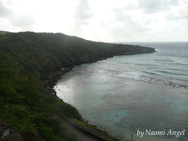 God of Hawaii vol.5 - ハワイの神様 vol.5 -_f0186787_13433589.jpg