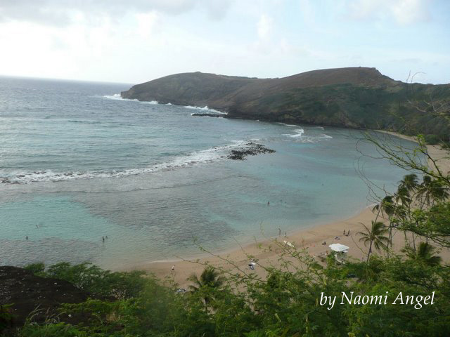 God of Hawaii vol.5 - ハワイの神様 vol.5 -_f0186787_1343644.jpg