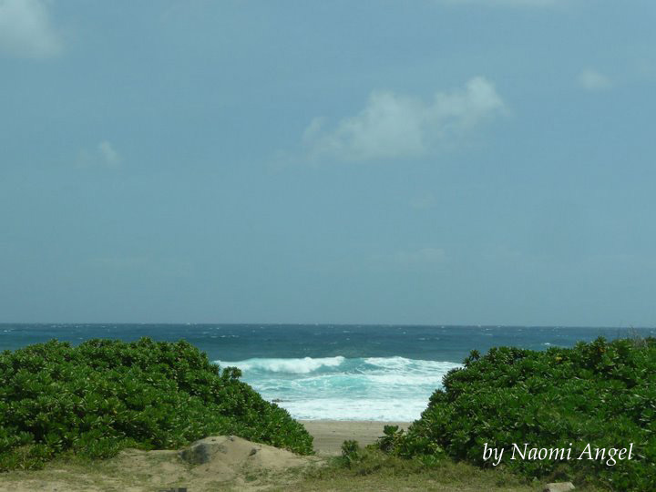 God of Hawaii vol.5 - ハワイの神様 vol.5 -_f0186787_13484868.jpg